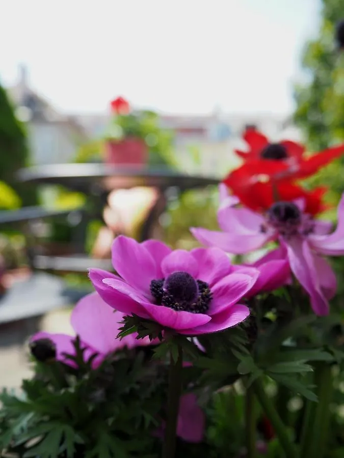 Das Altschwabing - Munich Boutique Hotel 3*,  Alemanha